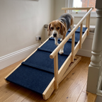 A beagle walks on the navy and pine dog ramp propped against a window seat
