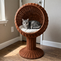 Silver tabby cat curled in the brown woven rattan egg-chair cat bed in a sunlit bedroom corner