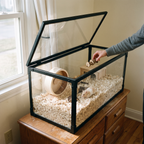Hand placing a wooden chew toy into the acrylic hamster habitat with its hinged lid propped open on an oak dresser