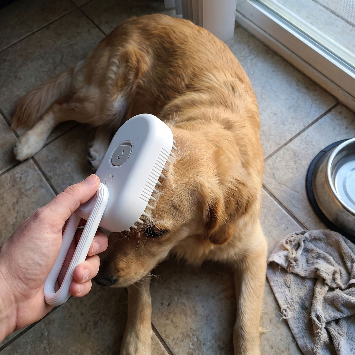 Overhead view of a hand brushing a golden retriever on a kitchen floor, loose fur in the bristles