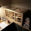 Wooden hamster cage on a unit in a home office lit by a desk lamp in the evening