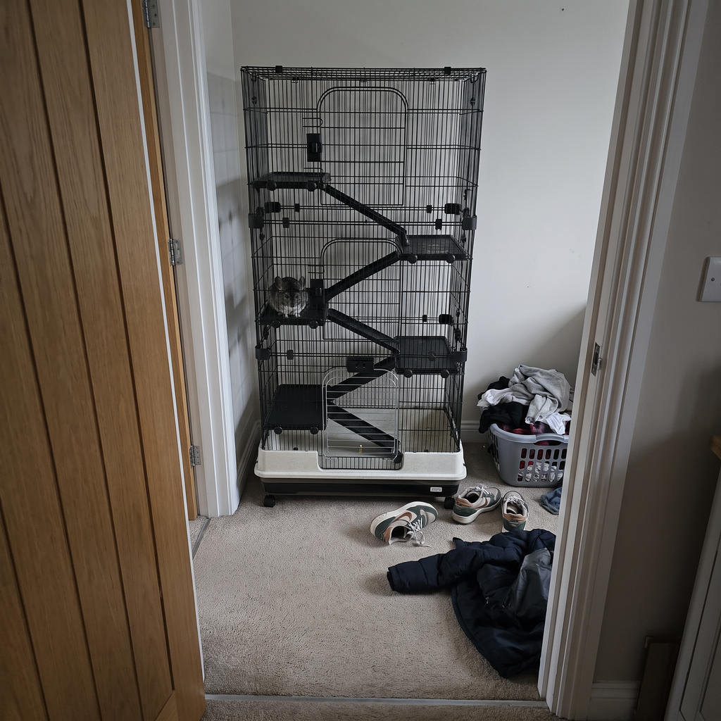 Six-tier rolling small animal cage in a hallway corner seen from the doorway, chinchilla on a platform