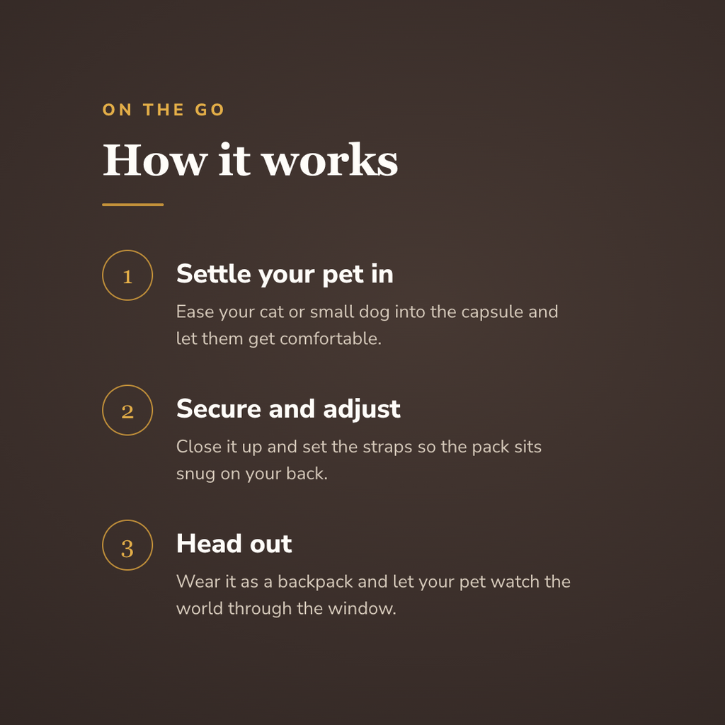 How the astronaut bubble pet backpack works in three steps - wrenwood howitworks
