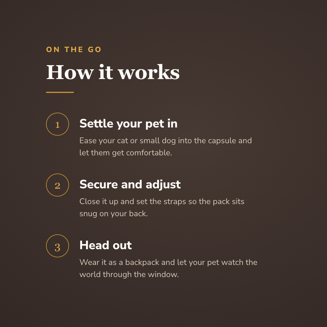 How the astronaut bubble pet backpack works in three steps - wrenwood howitworks