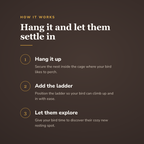 How the coconut bird nest works - wrenwood howitworks
