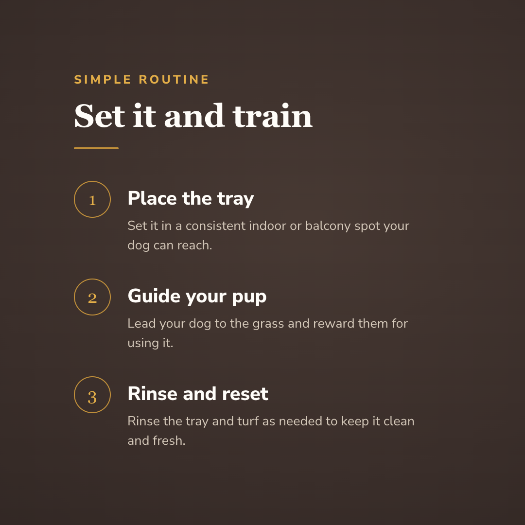How the dog lawn potty tray works - wrenwood howitworks