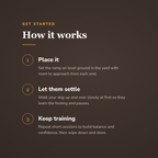 How the dog agility ramp works - wrenwood howitworks
