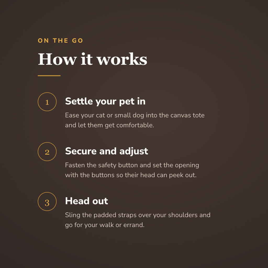 How the lion-design pet carrier bag works in three steps - wrenwood howitworks