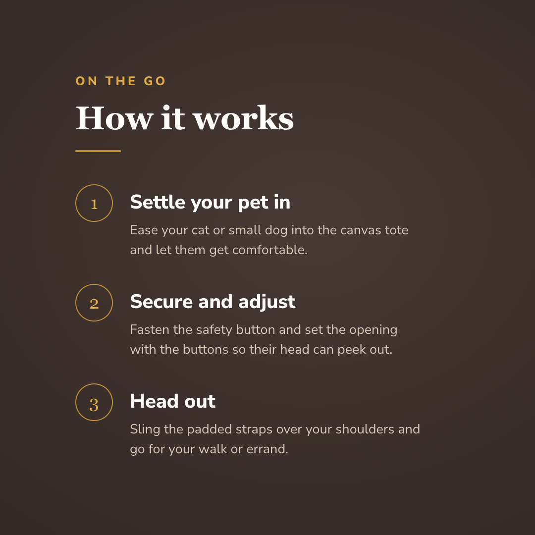 How the lion-design pet carrier bag works in three steps - wrenwood howitworks