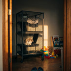 Lop-eared rabbit on a ramp inside the multi-level wire cage in a bedroom - lifestyle v2