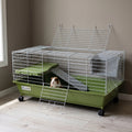 Rolling multi-tier rabbit and guinea pig cage with ramp in a living room - wrenwood hero