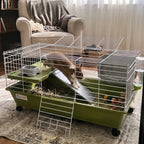 Pet using the product in a real home