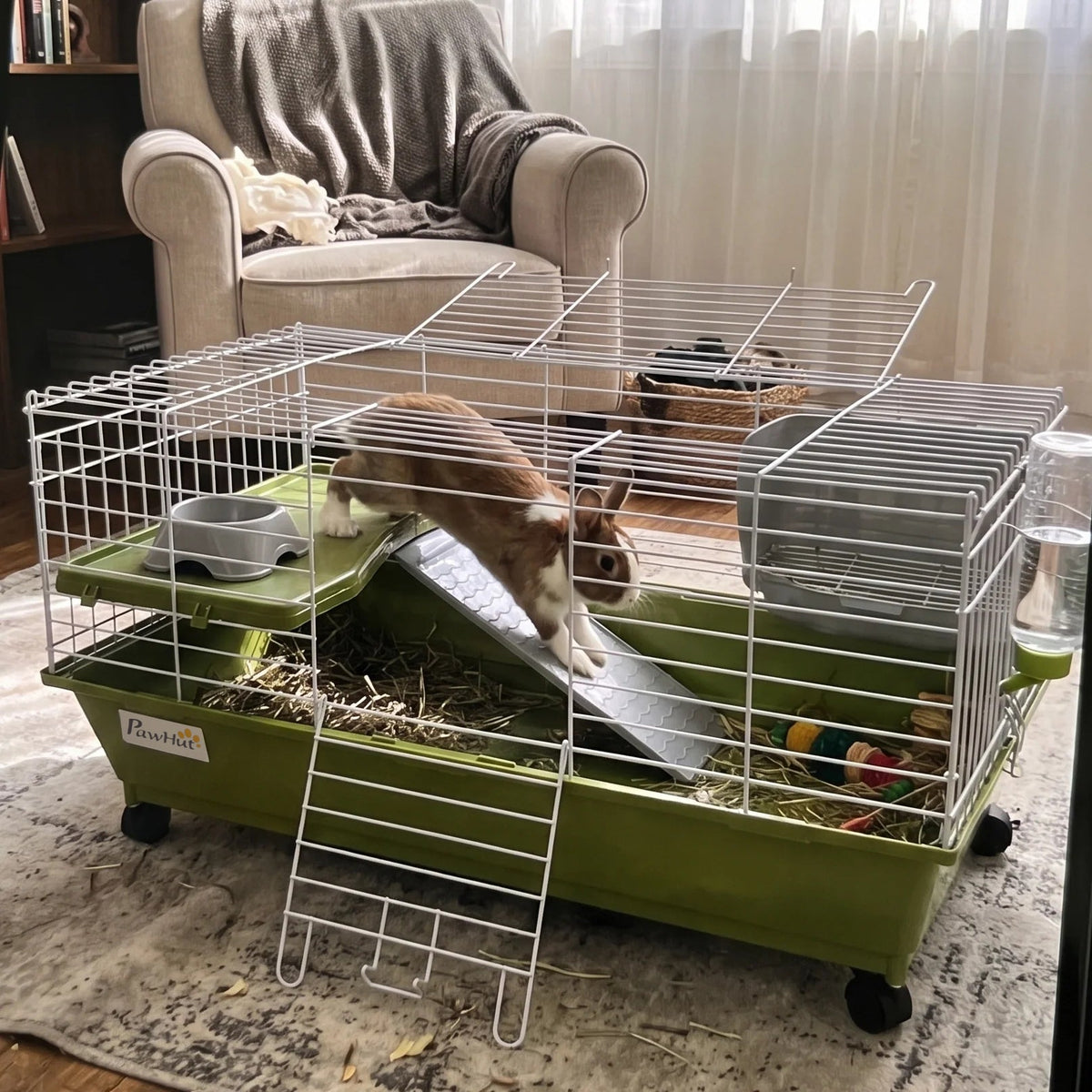 Pet using the product in a real home