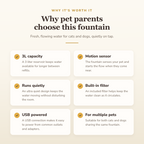 Why pet parents choose this fountain — benefits