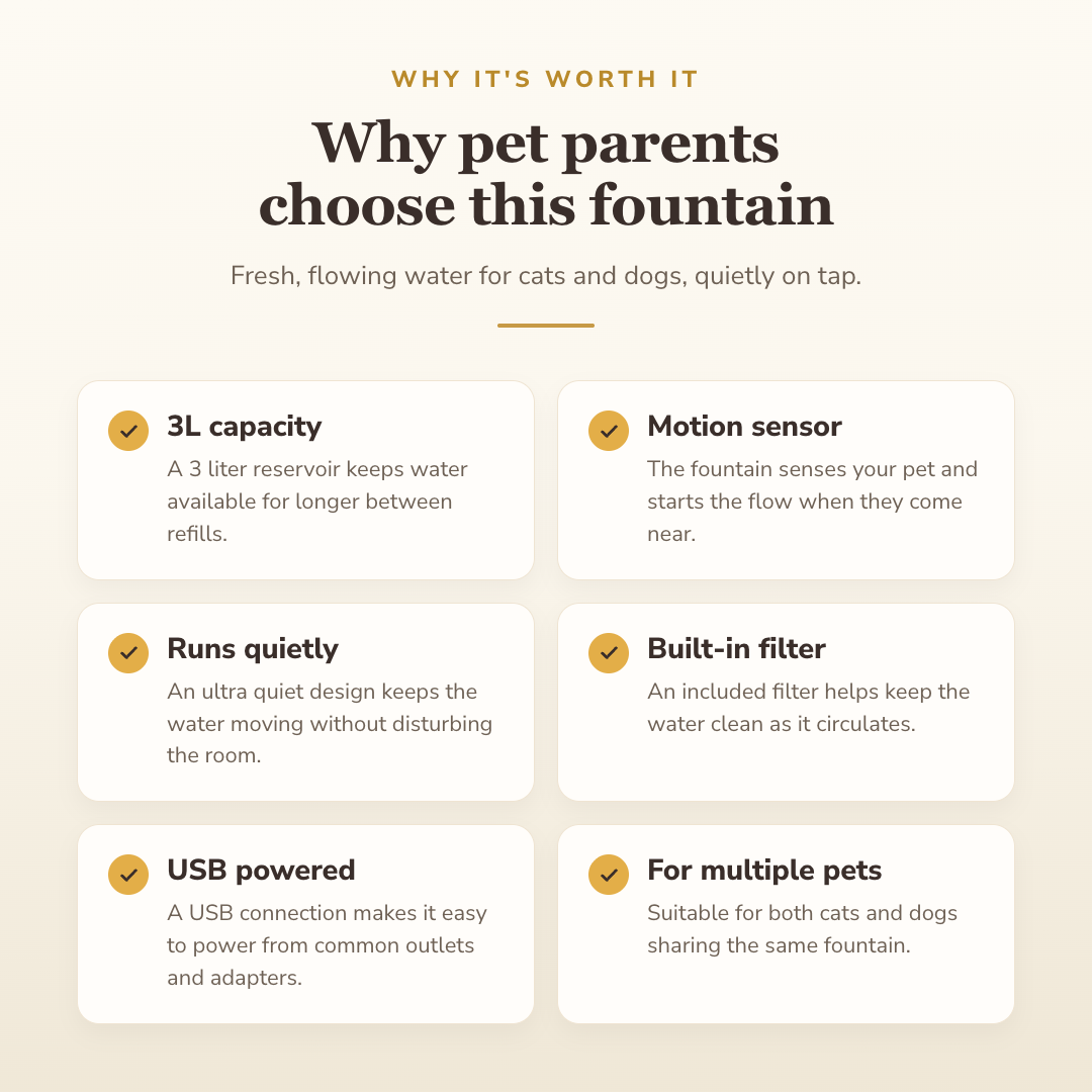 Why pet parents choose this fountain — benefits
