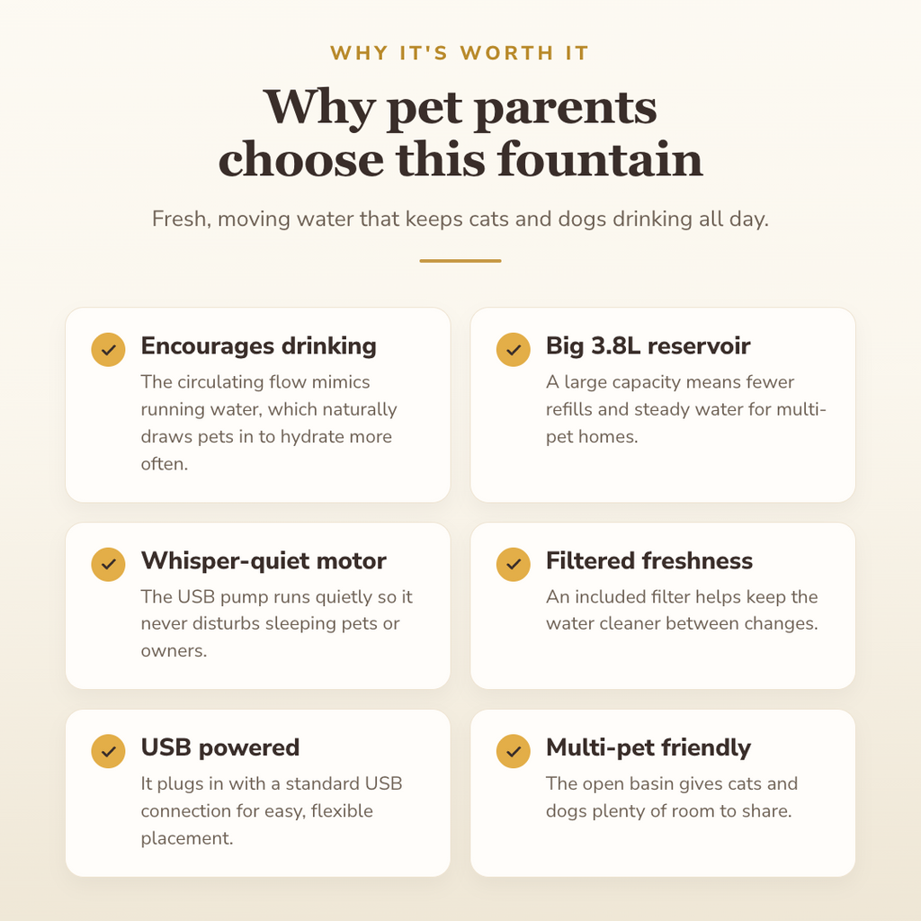 Why pet parents choose this fountain — benefits