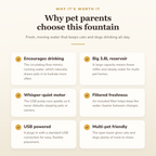 Why pet parents choose this fountain — benefits