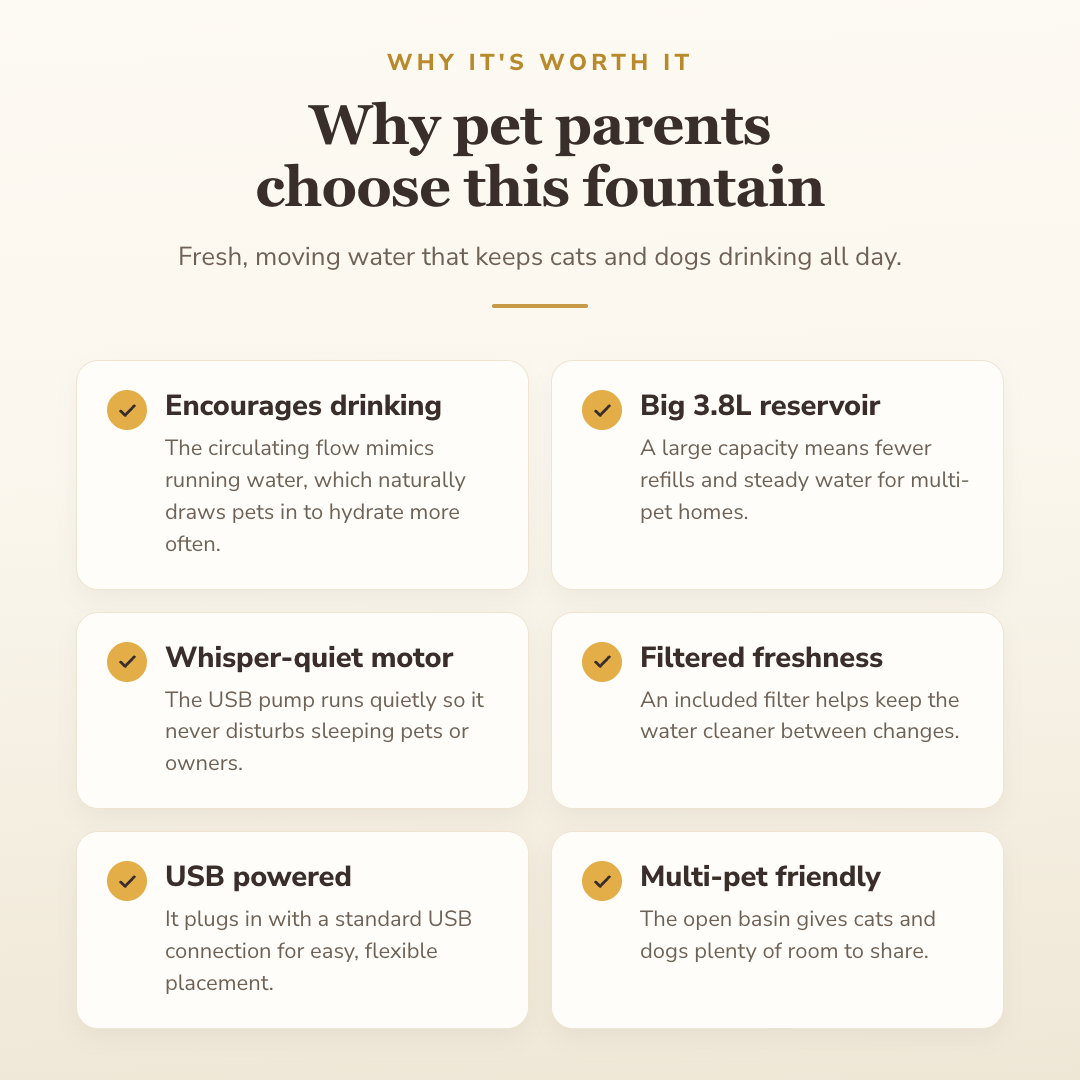 Why pet parents choose this fountain — benefits