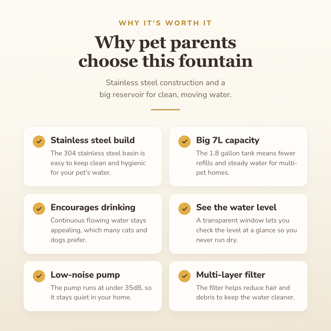 Why pet parents choose this fountain — benefits