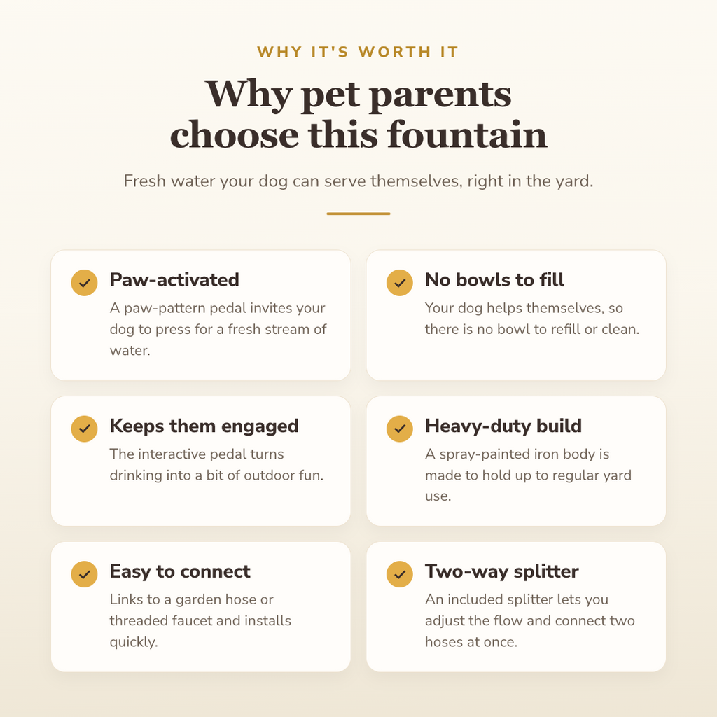 Why dog owners choose this fountain — benefits