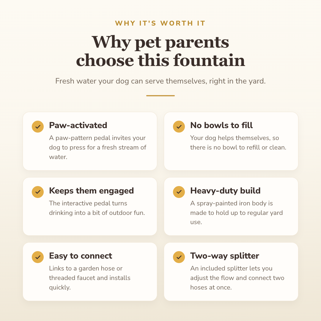 Why dog owners choose this fountain — benefits