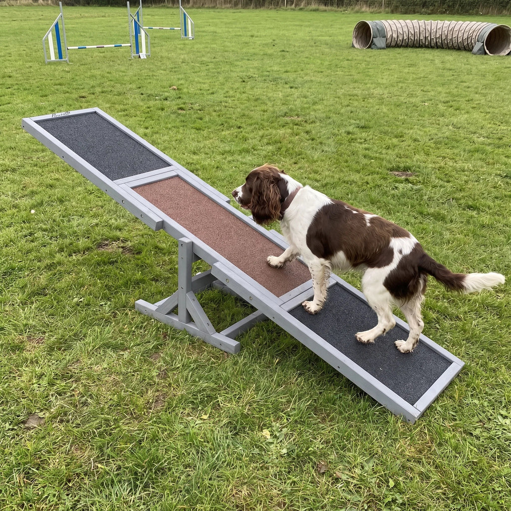 Springer spaniel walking up the wooden agility seesaw on a training field - wrenwood ugc lifestyle v2