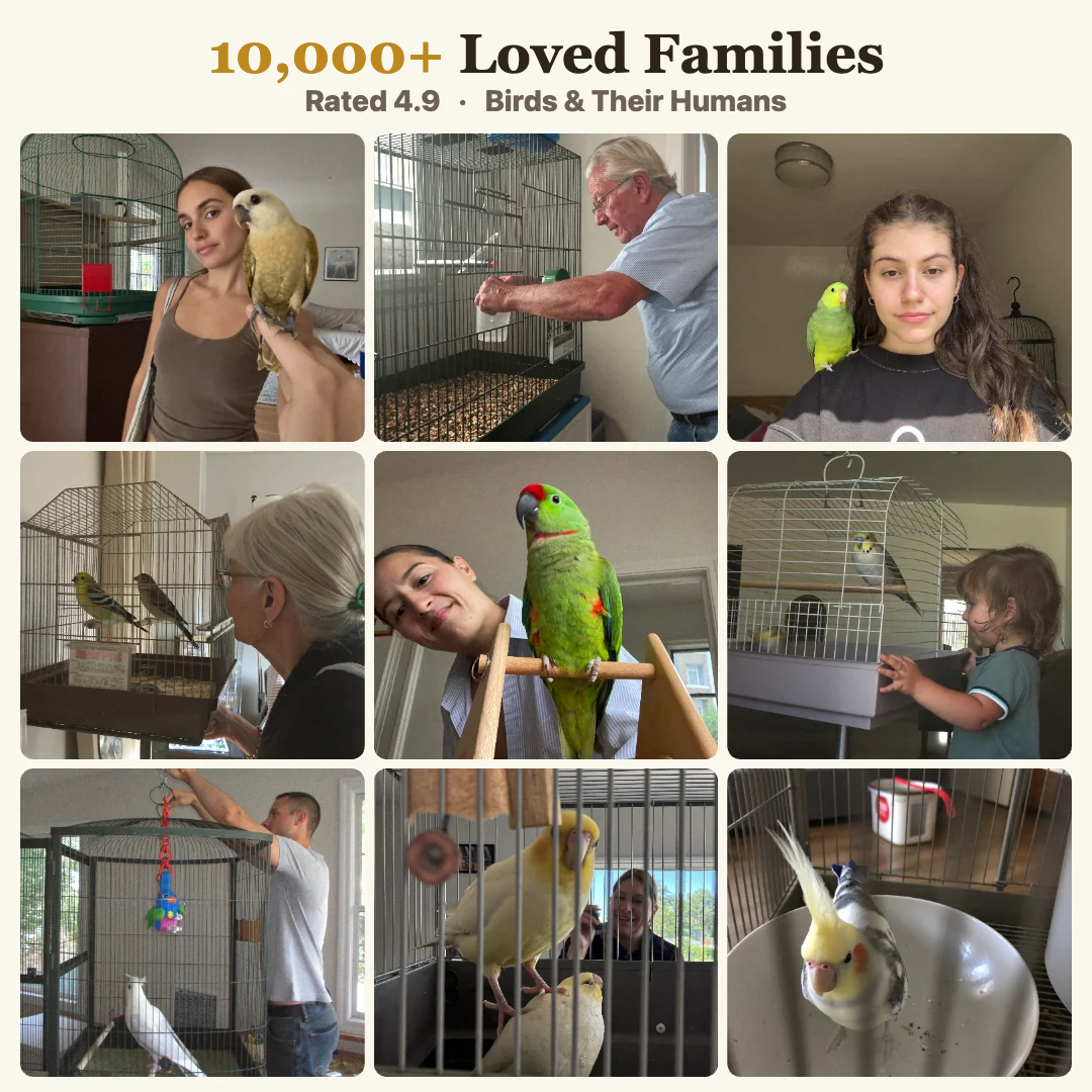 10,000+ loved families, rated 4.9, real customer photos of birds and their humans
