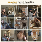 10,000+ loved families, rated 4.9, real customer photos of cats and their humans