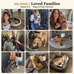 10,000+ loved families, rated 4.9, real customer photos of dogs and their humans