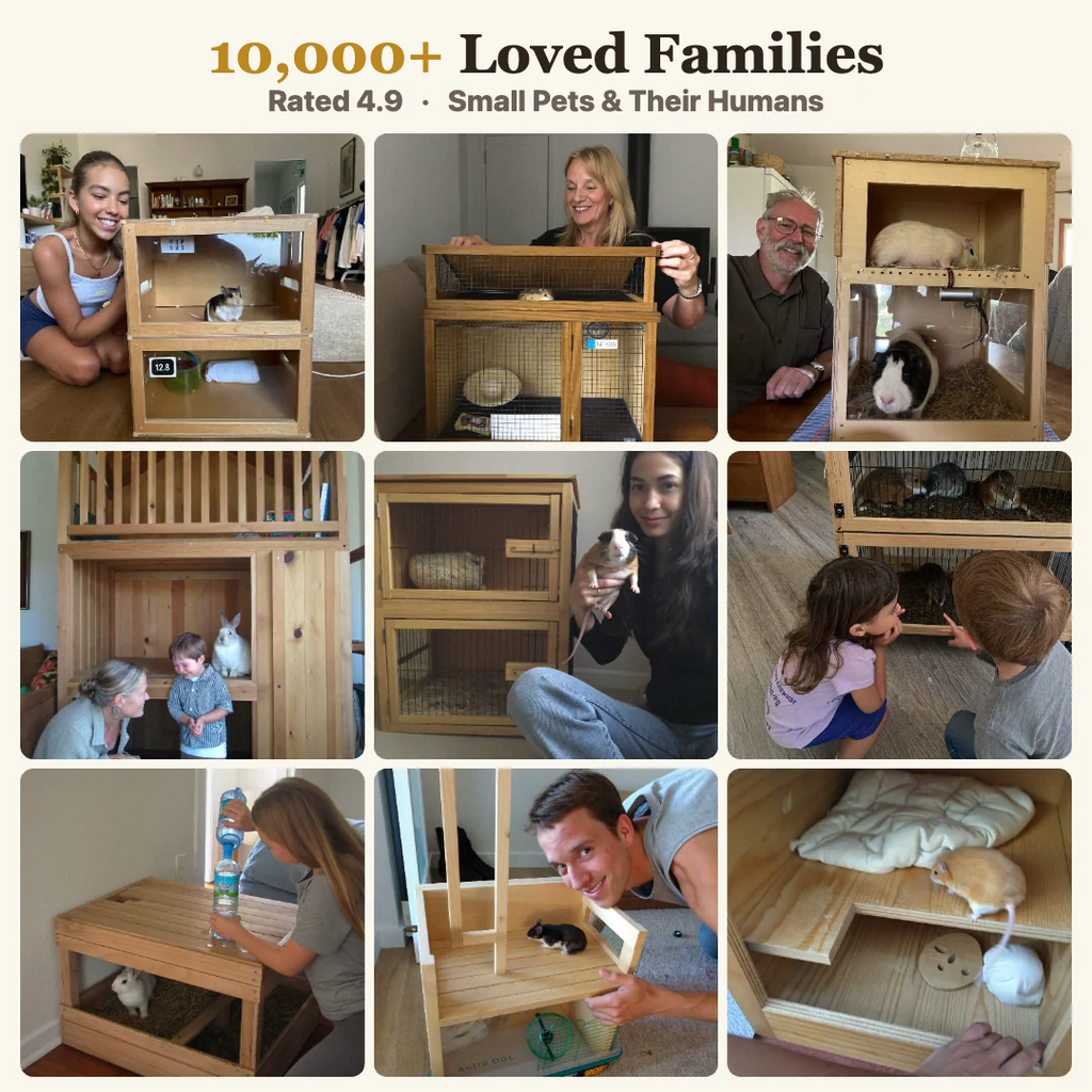 10,000+ loved families, rated 4.9, real customer photos of small pets and their humans