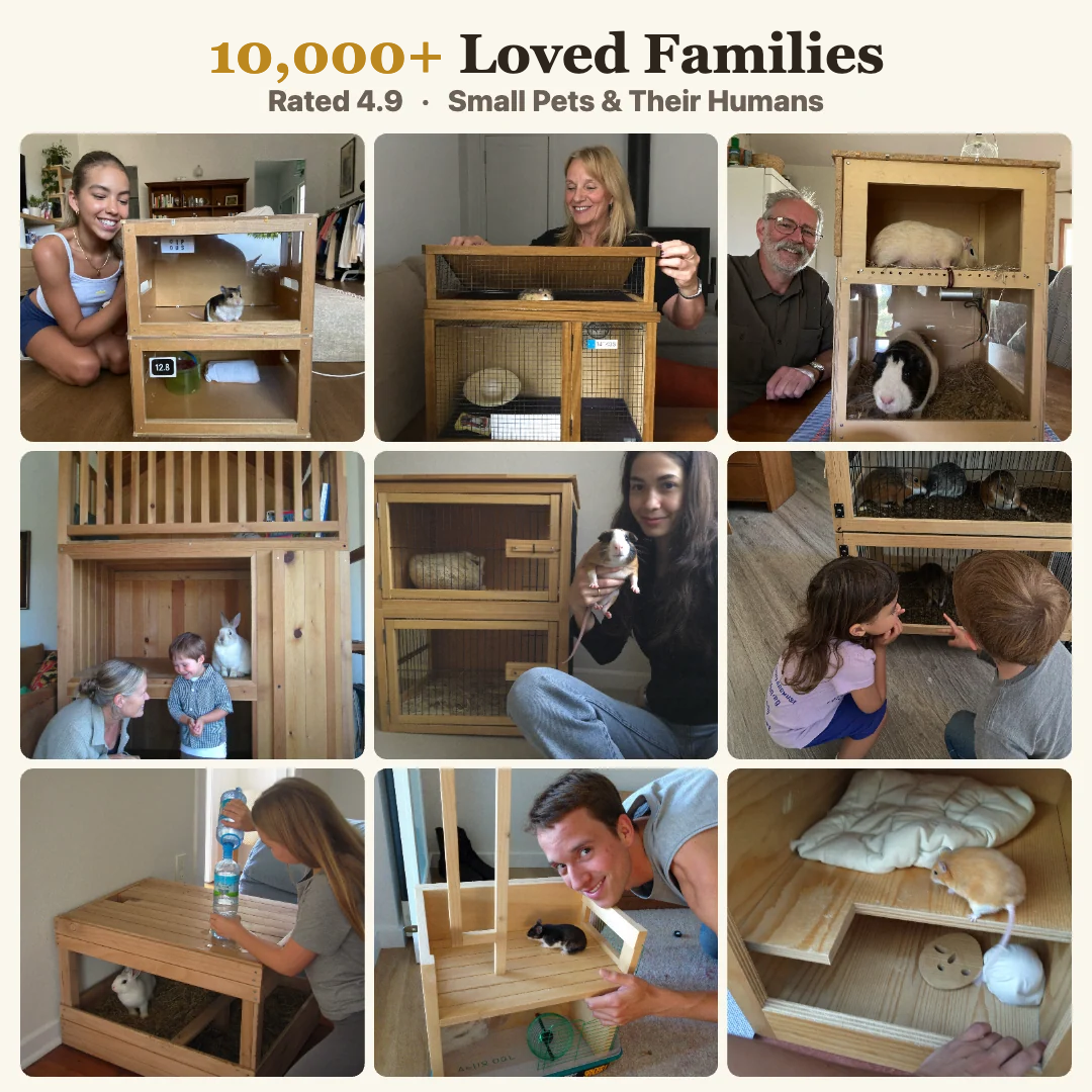 10,000+ loved families, rated 4.9, real customer photos of small pets and their humans